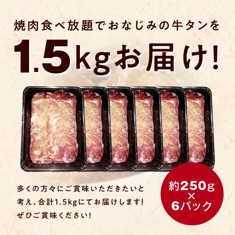 牛タン 1.5kg ねぎ塩味 小分け 250g×6 牛タン
