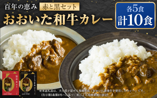 
百年の恵み おおいた和牛カレー 赤と黒セット 各5個 計10個
