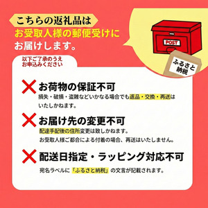 洗濯槽クリーナー 200g 1回分 WASHMANIA 洗濯槽クリーナー ドリームチーム