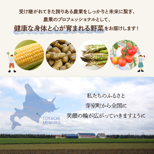 北海道十勝芽室町 なまら十勝野の季節のおまかせ野菜セット（夏） me001-009c