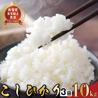 ふるさと納税 安芸市 【毎月定期便】3ヵ月連続でお届け!「コシヒカリ」定期便 10kg全3回
