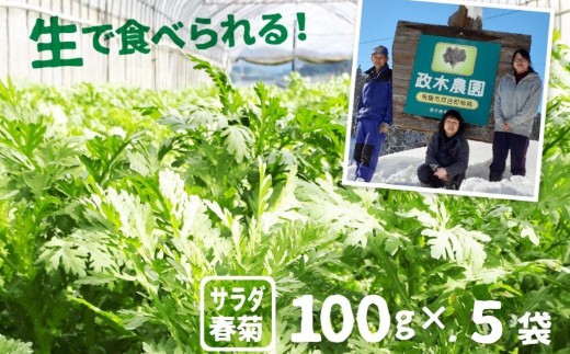 
                  ＜8月から寄附額改定＞令和8年産【6月上旬～10月下旬発送】サラダ春菊 100g 5袋 政木農園 無農薬栽培 野菜 葉物 フレッシュ 生 サラダ 鍋 小分け 500g 産地直送
                
