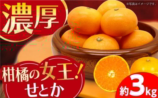 みかん『せとか』 約3kg -2026年2月中旬頃から順次発送- せとか 長与町/かわはら [EAS002] 柑橘 完熟 九州せとか みかん せとか ミカン 果物 長崎せとか フルーツ くだもの 国産 せとか 3㎏ 先行予約 数量限定 長崎県 長与町 長与せとか