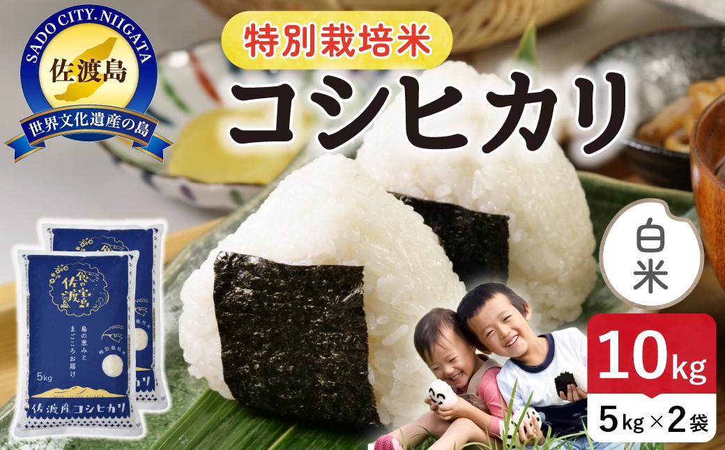 
                  佐渡島産コシヒカリ 白米10kg（5kg×2袋）令和7年産 特別栽培米 農薬・化学肥料5割減 単一原料米 | 新潟県産コシヒカリ 新潟産コシヒカリ 新潟コシヒカリ 佐渡産コシヒカリ 新潟県産こしひかり 佐渡産こしひかり お米 米 こしひかり 白米 精米 ブランド米 おこめ コメ 10キロ にいがた さど 新潟県 佐渡市
                