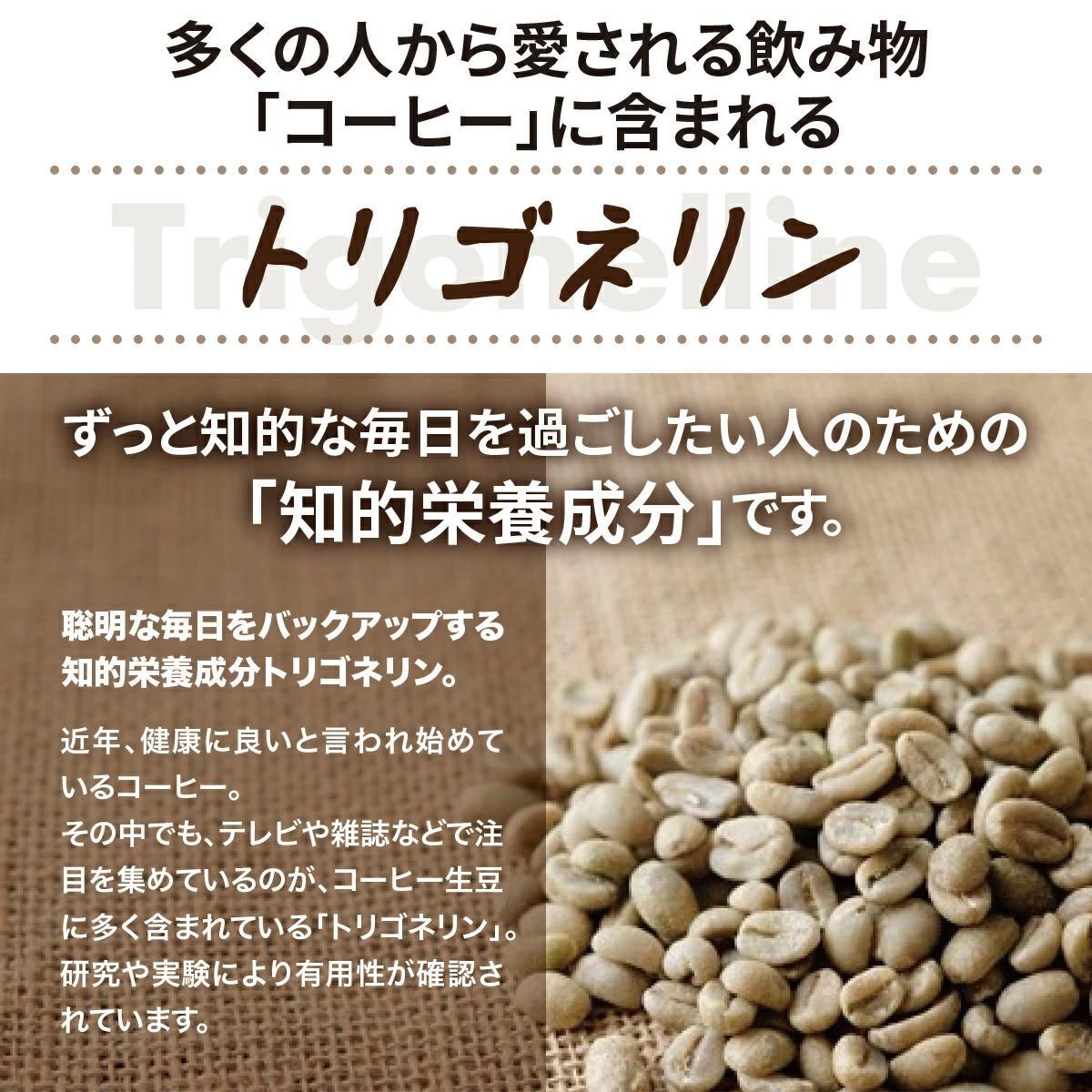 トリゴネージコーヒー スペシャルブレンド 1箱
