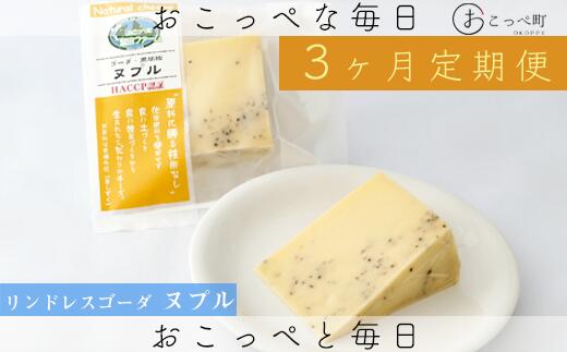 【ふるさと納税】リンドレスゴーダ ヌプル2個 3ヶ月定期便【22017】