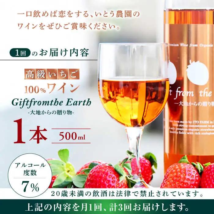 【3回定期便】高級 いちご 100％ワイン Giftfromthe Earth -大地からの贈り物- オーガニック【伊藤農園】 いちご 苺 熊本県 特産品 有機 お酒 オーガニックワイン [ZBB01