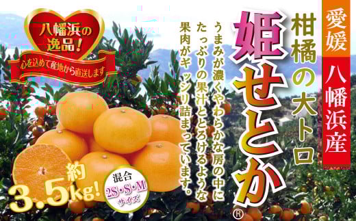 みずみずしい香り・柑橘の大トロ!「姫せとか」約3.5kg＜D39-60＞【1583778】