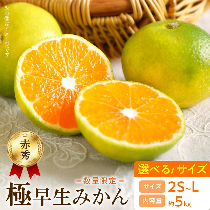 【ふるさと納税】【2025年先行予約】 数量限定 極早生みかん 約5kg 赤秀品 選べるサイズ 2S ～ L 和歌山県 有田産 赤秀 みかん 有田みかん 温州みかん 初秋 旬 極早生 ジューシー 酸味 柑橘 果物 果実 果肉 フルーツ ビタミン 食品 国産 お取り寄せ 湯浅町 送料無料