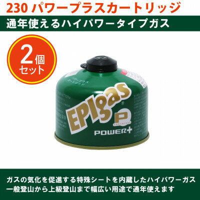 【ふるさと納税】EPIgas 230パワープラスカートリッジ【2個入り】【配送不可地域：沖縄県】【1659731】