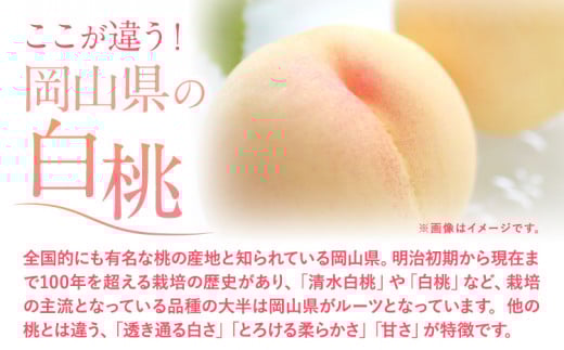【2026年発送先行予約】桃 岡山の桃 約700g 《2026年6月下旬-9月上旬頃出荷》 白桃 岡山 白桃 はくとう スイーツ フルーツ 果物 先行予約 数量限定 期間限定 岡山 矢掛町 モモ もも