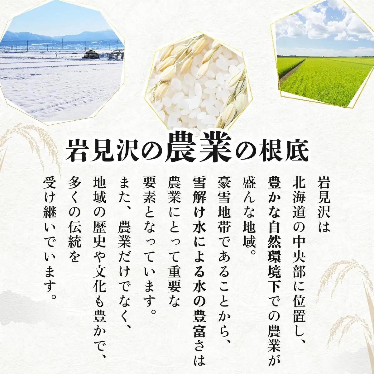 《令和 7 年産》お米 ゆめぴりか 10kg｜『100%自家生産精 米』善生さんの自慢の米 ※一括発送 北海道 岩見沢市 a104-117