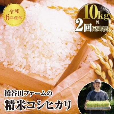 《定期便2ヶ月》【先行受付】 令和6年産米 コシヒカリ 精米 10kg F4D-0967