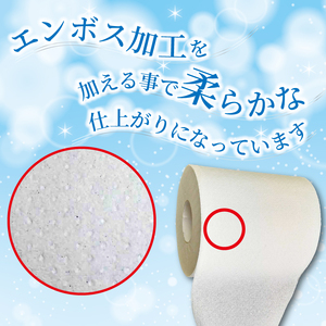 【2026年3月～順次発送】 トイレットペーパー 100ロール シングル 備蓄 防災 消耗品 生活用品 エンボス加工 社会福祉法人 見晴学園 そらいろ 静岡県 三島市