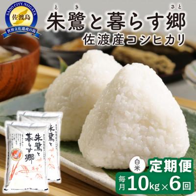 ふるさと納税 佐渡市 【毎月定期便】佐渡島産 朱鷺と暮らす郷(コシヒカリ) 白米10kg 特別栽培米　全6回