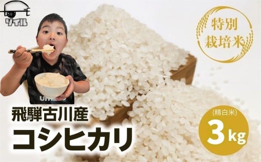 《先行予約》令和8年産 飛騨産 特別栽培米 こしひかり 白米 3kg コシヒカリ 新米 お米 米 精米 ごはん ご飯 特A 単一原料米 米 単品 3キロ ソイル 飛騨市 12000円