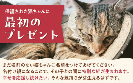 命名権（保護猫への名付け） 猫 ねこ ネコ 保護猫 支援 動物愛護 応援 大阪府高槻市／特定非営利活動Cherish[AODU001]