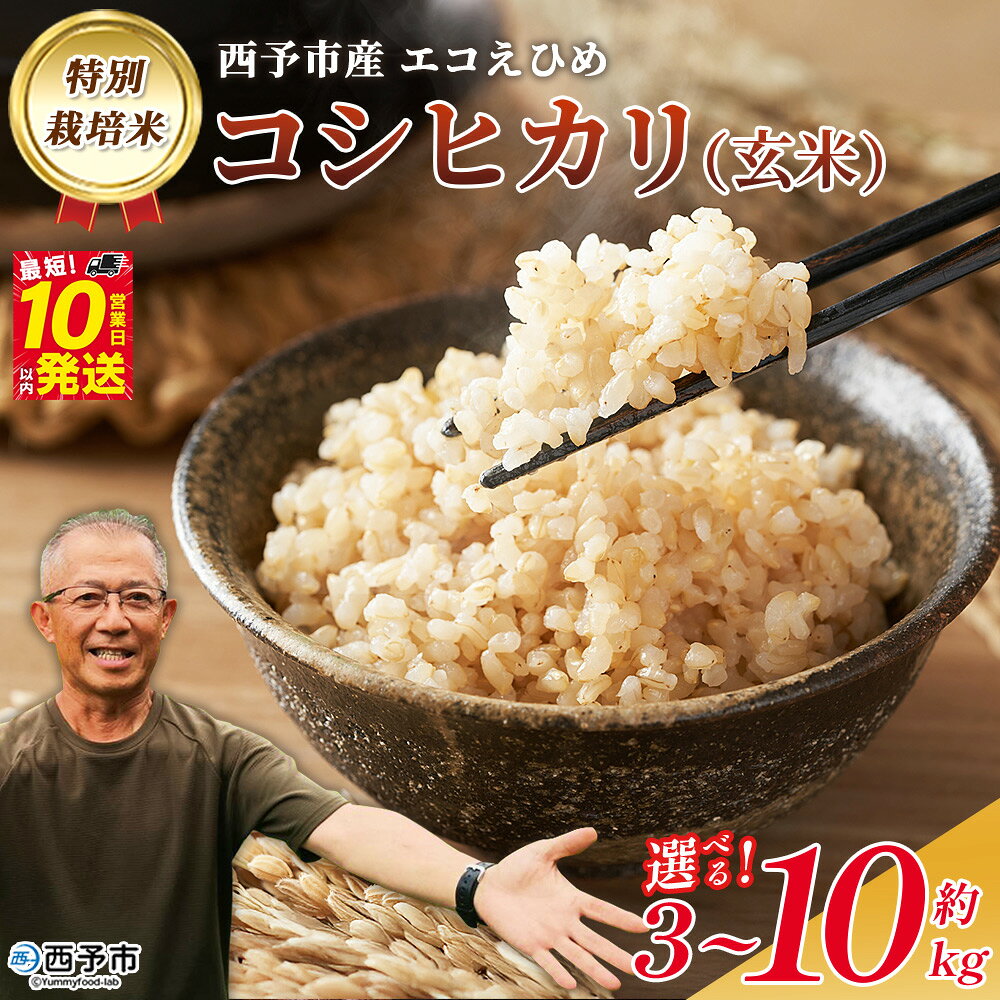 【ふるさと納税】＜令和8年産 西予市産 特別栽培米 エコえひめ コシヒカリ 玄米 約3～10kg＞『最短10営業日以内に順次発送予定』国産 農薬・化学肥料不使用 キロ 愛媛県産 こしひかり お米 米 コメ げんまい 産地直送 送料無料 シゲちゃん農園 愛媛県 西予市【常温】