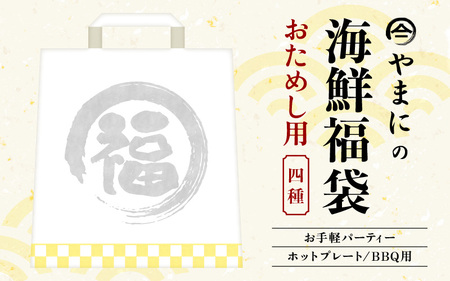 やまにの海鮮福袋 お試し（お手軽パーティ/ホットプレートやBBQ用）特製タレ付き！【魚介類 海鮮 福袋 冷凍 詰め合わせ アウトドア キャンプ】 [A-4359]