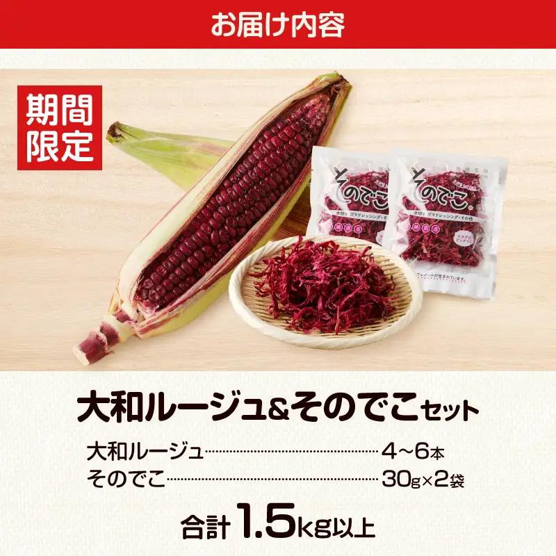 先行予約≪期間限定≫大和ルージュ＆そのでこセット(合計1.5kg以上) 野菜 加工品 国産_T003-0145