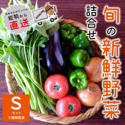 
『大阪能勢産』　農家直送!べじたぶるぱーくの旬の新鮮野菜詰合せ　Sセット(5種類)　【1509066】
