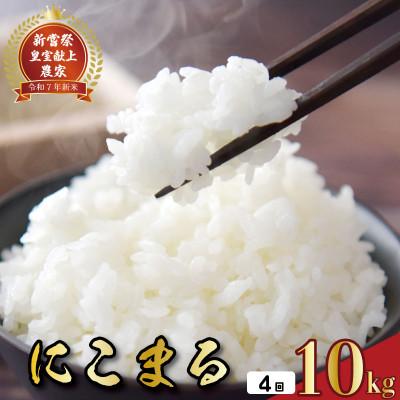 ふるさと納税 安芸市 【毎月定期便】4ヵ月連続でお届け!「にこまる」定期便 10kg 全4回