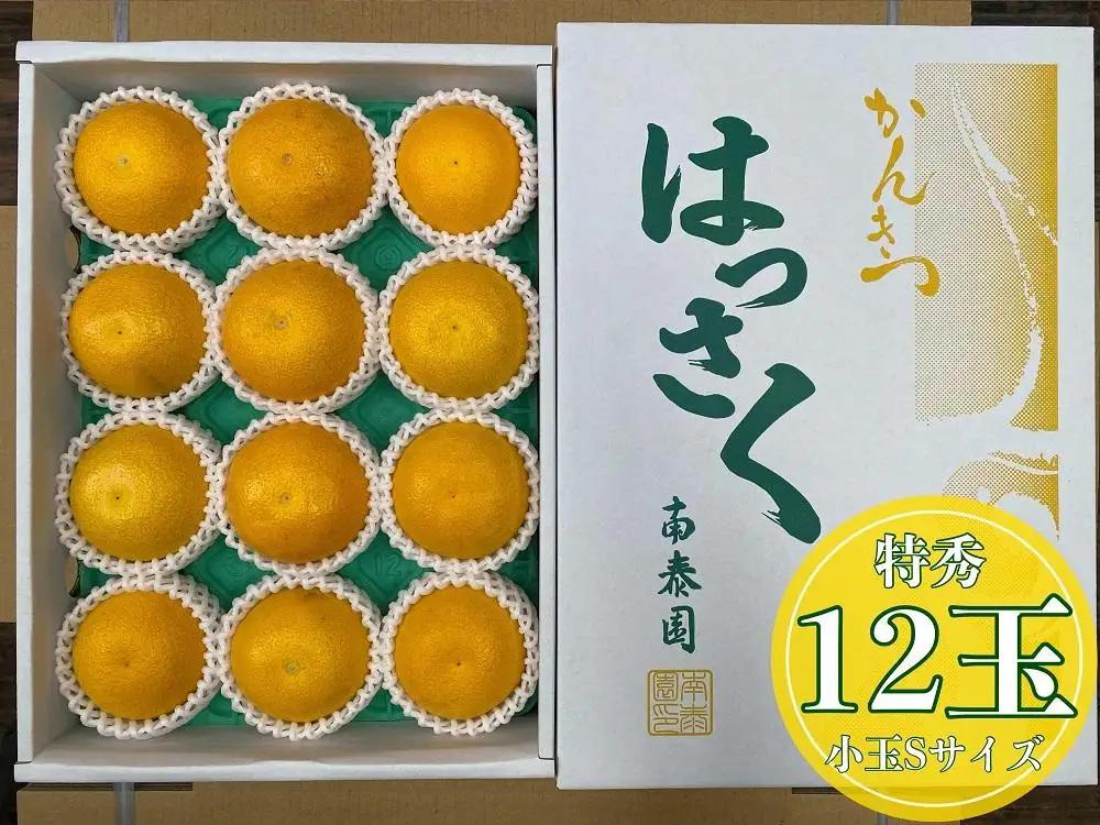 化粧箱 手詰め 有田 はっさく 特秀 小玉 S サイズ × 12玉入 南泰園 みかん