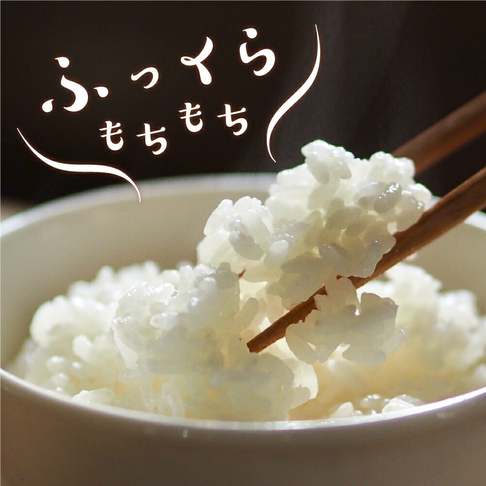 令和7年産 新米 特別栽培米 つや姫 6kg(2kg×3袋)お米マイスター厳選米 2025年産