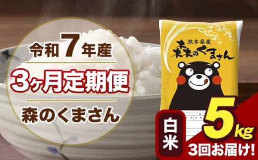【3ヶ月定期便】令和7年産 森のくまさん 白米 5kg 5kg×1袋 計3回お届け《お申込み翌月から出荷》お米 こめ 熊本県産 ご飯 備蓄
