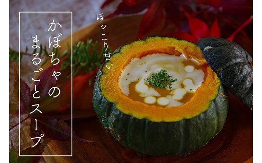 R7年産 南瓜 約10kg ヤナセ農園 | 北海道津別町