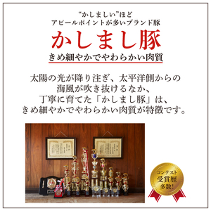 令和５年度・令和６年度 東京食肉市場豚枝肉共励会 連続受賞肉【かしまし豚】豚ロース切身 【ブランド豚 ロース 切り身 10枚 大容量 茨城県 鹿嶋市】(KM-18)