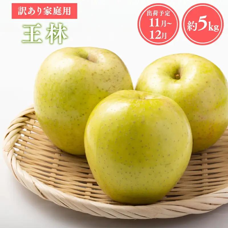 りんご 家庭用 王林約5kg 青森県平川市産 りんご
