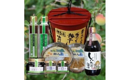 
耶馬溪梅干しと調味料セット 郷みそ(米・合わせ味噌)各800g 梅干し1.3kg ドレッシングセット200ml×2種 など入り 熨斗対応
