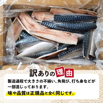 ふるさと納税 銚子市 【訳あり】定塩ノルウェーさばフィレ　約2.8kg |  | 02