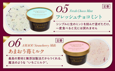 ハンデルスベーゲン 無添加 アイスクリーム 食べ比べ 定番6個セット 濃厚 北海道牛乳 高級カップ スイーツ ギフト 詰め合わせ 人気 おすすめ 送料無料 バニラ ベリー ヨーグルト ピスタチオ あま
