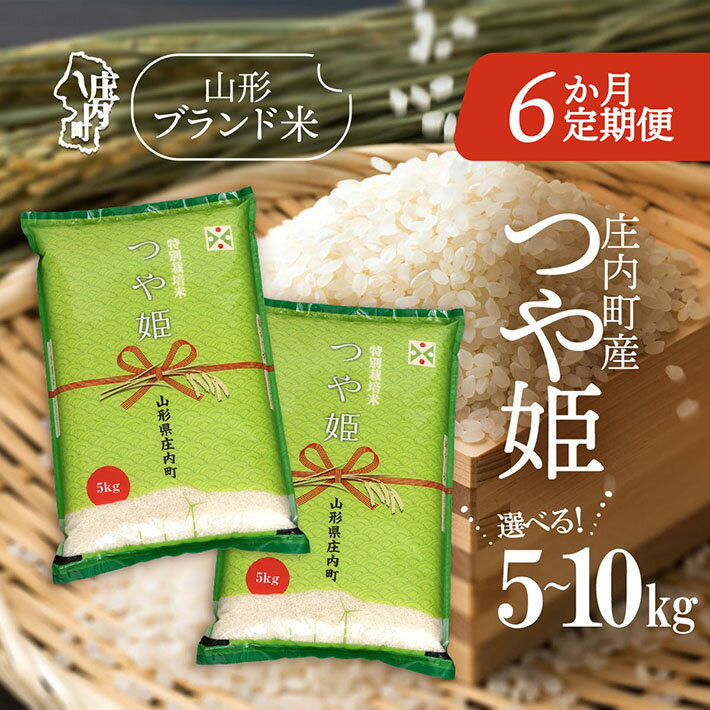 【ふるさと納税】＜毎月下旬発送＞庄内米6か月定期便！つや姫 選べる配送開始月 内容量 5kg / 6kg / 10kg ブランド米 2025年産 ふるさと納税 米 定期便 山形県