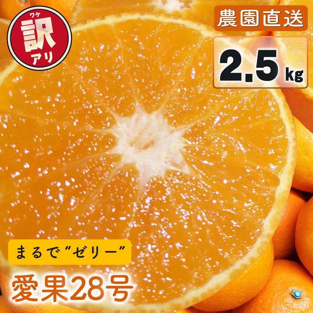 【ふるさと納税】 【先行予約】 訳あり 家庭用 愛果28号 2.5kg (約6～15個) 光センサー選別 【11月下旬～12月下旬発送】 同品種 ワケアリ 不揃い 柑橘 果物 フルーツ ジューシー あいか みかん ご当地 松山市 愛媛県