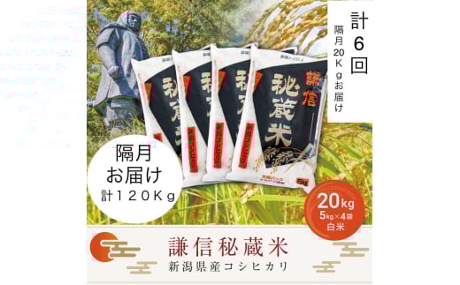 令和7年産 定期便隔月発送（20kg×6回分）20kg 米 新潟県産 コシヒカリ  精白米 謙信秘蔵米  お米  こめ コメ おこめ おすすめ こしひかり 新潟 にいがた 新潟米 上越 上越産 上越米 ふるさと納税 定期便 人気