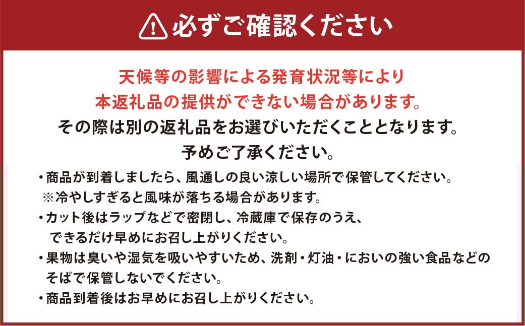 【2026年4月下旬発送開始】熊本市産 肥後グリーンメロン2玉４L以上 約4kg