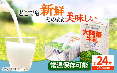 大阿蘇牛乳 250ml（24本入り）牛乳 ミルク カルシウム 熊本県産 国産 牛乳 牛乳 牛乳 牛乳 牛乳[AYCB028]