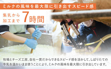 【12回定期便】世界銅賞受賞！白カビチーズ入り チーズ4種セット【ナカシマファーム】[NAJ109]チーズ ナカシマファーム チーズ 酪農家の手作りチーズ てづくりチーズ 人気チーズ おすすめチーズ 