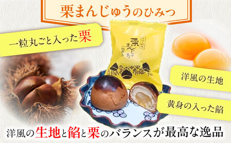 【当店自慢！お菓子詰め合わせ】佐々の 焼き菓子 Aセット 計15個入【栗まんじゅう本舗 小田製菓】[QAR012]