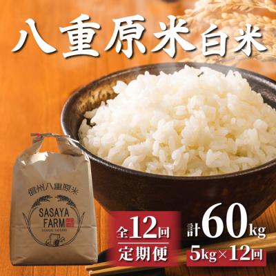 ふるさと納税 東御市 令和8年新米受付【12回定期便】八重原米5kg(1袋)白米※2026年10月以降発送|笹屋農園