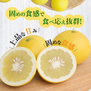 S040-022A_農家の手摘み パール柑 約7.5kg〈先行予約〉 先行予約 柑橘 約 7.5kg 天草産 果物 フルーツ 真珠 手摘み 固め 食感 食べ応え 果肉 上品 甘み おいしい おすすめ 