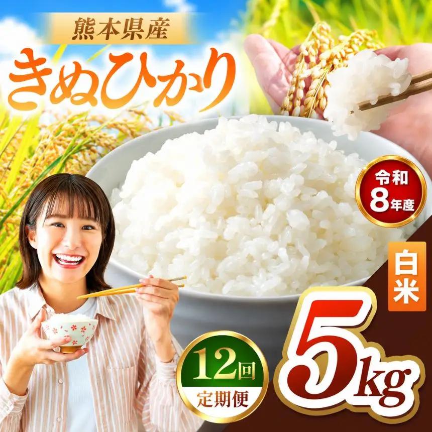 【 定期便 12回 】R8年産 熊本県産 白米 きぬひかり 5kg