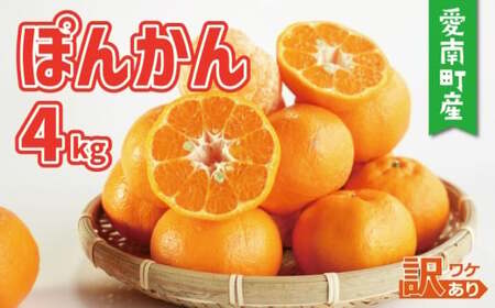 【先行予約：2027年1月初旬～発送】訳あり ポンカン 4kg 7000円(+傷み保障500g） みかん mikan 蜜柑 ミカン ぽんかん 産地直送 国産 農家直送 糖度 期間限定 数量限定 特産品 ゼリー ジュース アイス 等に 人気 限定 甘い フルーツ 果物 柑橘 美味しい おいしい ジューシー 小玉 含む 規格外 サイズ ミックス 傷み補償 500g ミッチーのおみかん畑 愛南町 愛媛県