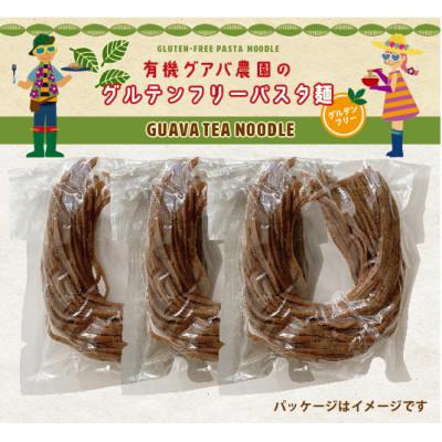 ふるさと納税 南国市 グアバ農園のグルテンフリーパスタ麺　100g×3袋セット