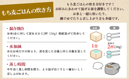 もち麦（ダイシモチ） 合計2.7kg - 香南市産 食物繊維 ミネラル 豊富 のし もち麦 国産 特産品 yr-0020