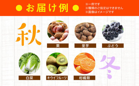 【全6回定期便】産地直送！鮮度抜群！旬を味わう新鮮野菜と果物の詰め合わせセレクションボックス（8種以上）　＼レビューキャンペーン中／愛媛県大洲市/たいき産直市愛たい菜[AGAP019]野菜果物フルーツ