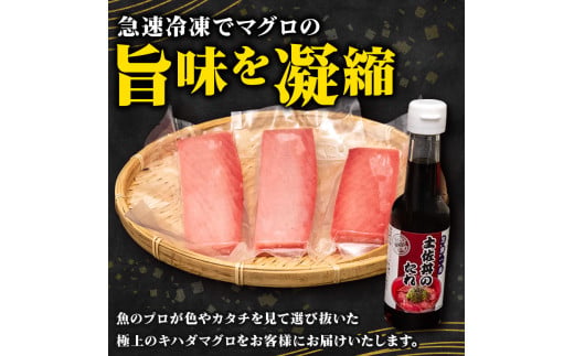 キハダマグロの赤身と丼ぶりのたれセット まぐろの切身とたれのセット 【鮪】